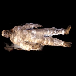 It Lives All Electric Prop -Halloween Props Store 82c588 5799746168ed422a846159cbf3d8a286mv2