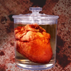 Small Lifelike Heart Apothecary Specimen Jar -Halloween Props Store 82c588 59400354785d4b10a8b8fd88385174d6mv2