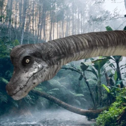 Brachiosaurus Static Display Prop 5 Brachiosaurus Static Display Prop -Halloween Props Store 82c588 59f12e2d1e274829b7c3f368837efb38mv2