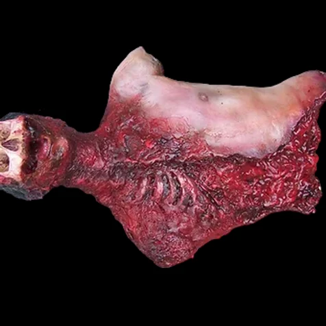 Deluxe Skull And Gore Torso 2 Deluxe Skull And Gore Torso - Image 2