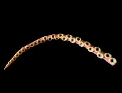 45 Inch Prop Flexible Tentacle. Latex Skinned -Halloween Props Store 82c588 5d7086ddae734364b6784da4bef68a6cmv2