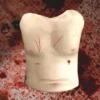 Trauma Torso Skin