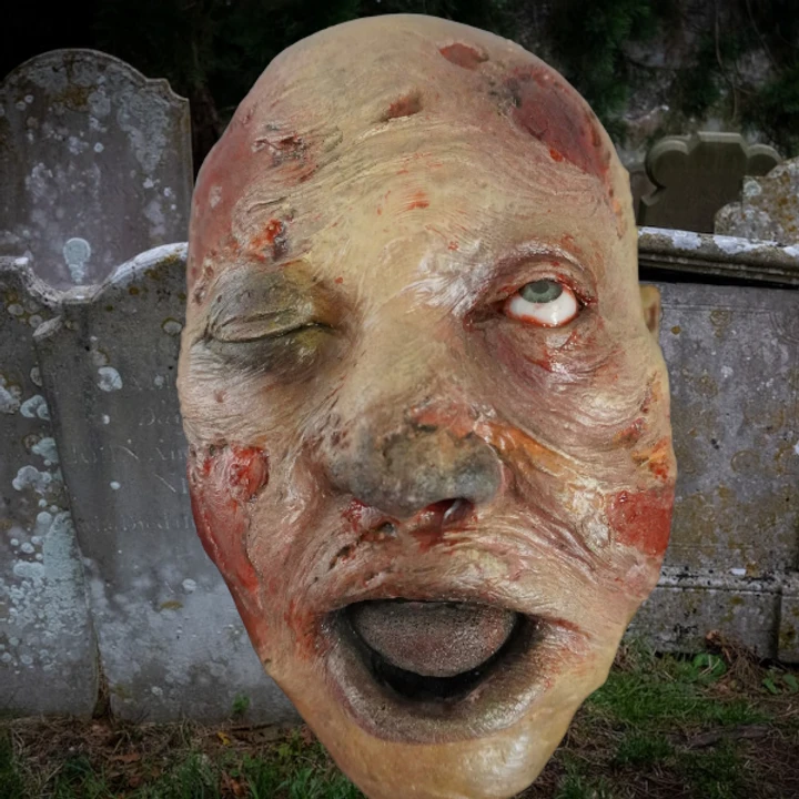 Bloated Brad Head 6 Bloated Brad Head - Image 6