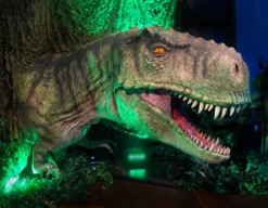 T-Rex Animatronic Dinosaur 7 T-Rex Animatronic Dinosaur -Halloween Props Store 82c588 7780927d2cd44ae8afb1f3358d9ca984mv2