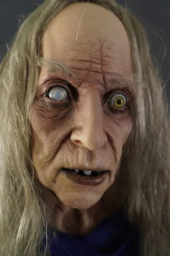 HESTOR WITCH FIGURE -Halloween Props Store 82c588 78e7afdab83b4bb785914775e770d602mv2