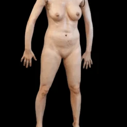 Decapitated Jessica Body 9 Decapitated Jessica Body -Halloween Props Store 82c588 7989591eeb6f4255999345ea916c44aamv2