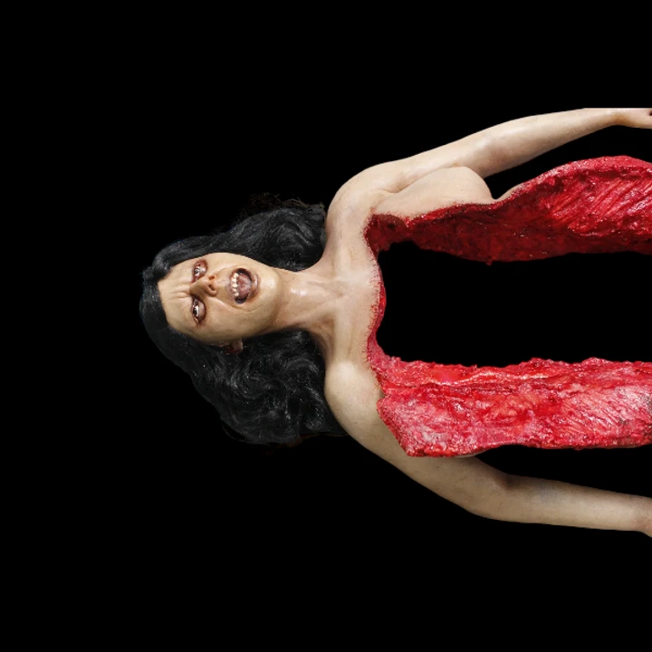 Dura Autopsy Brittany With Pass-Through 7 Dura Autopsy Brittany With Pass-Through - Image 7