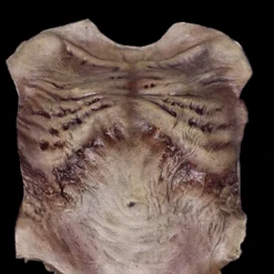 Zombie Torso SkinProfessional Quality -Halloween Props Store 82c588 7ea0c70a4cbd4a80a203db326c996fb4mv2