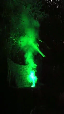 Dino Attack Animatronic -Halloween Props Store 82c588 7eade7d34fae42e28fc729f002765fe1f002