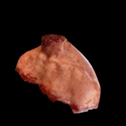 Shoulder Missing Head