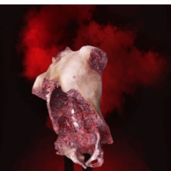 An Extremely Gory Piece, This Deluxe Gore Chest Has Been Ripped Open To Reveal Spine, Ribs And Hip Bones. -Halloween Props Store 82c588 8251a82a69224498bc620d8795e713e1mv2