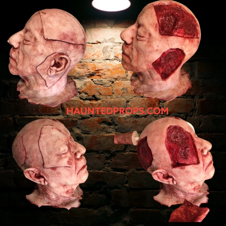 Severed Head With Magnetics 1 Severed Head With Magnetics