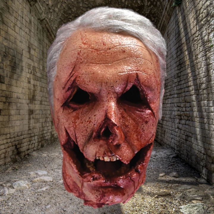 Officer Francis Severed Head Prop - 3 Officer Francis Severed Head Prop - - Image 3