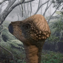 Pachy Dinosaur Head Prop