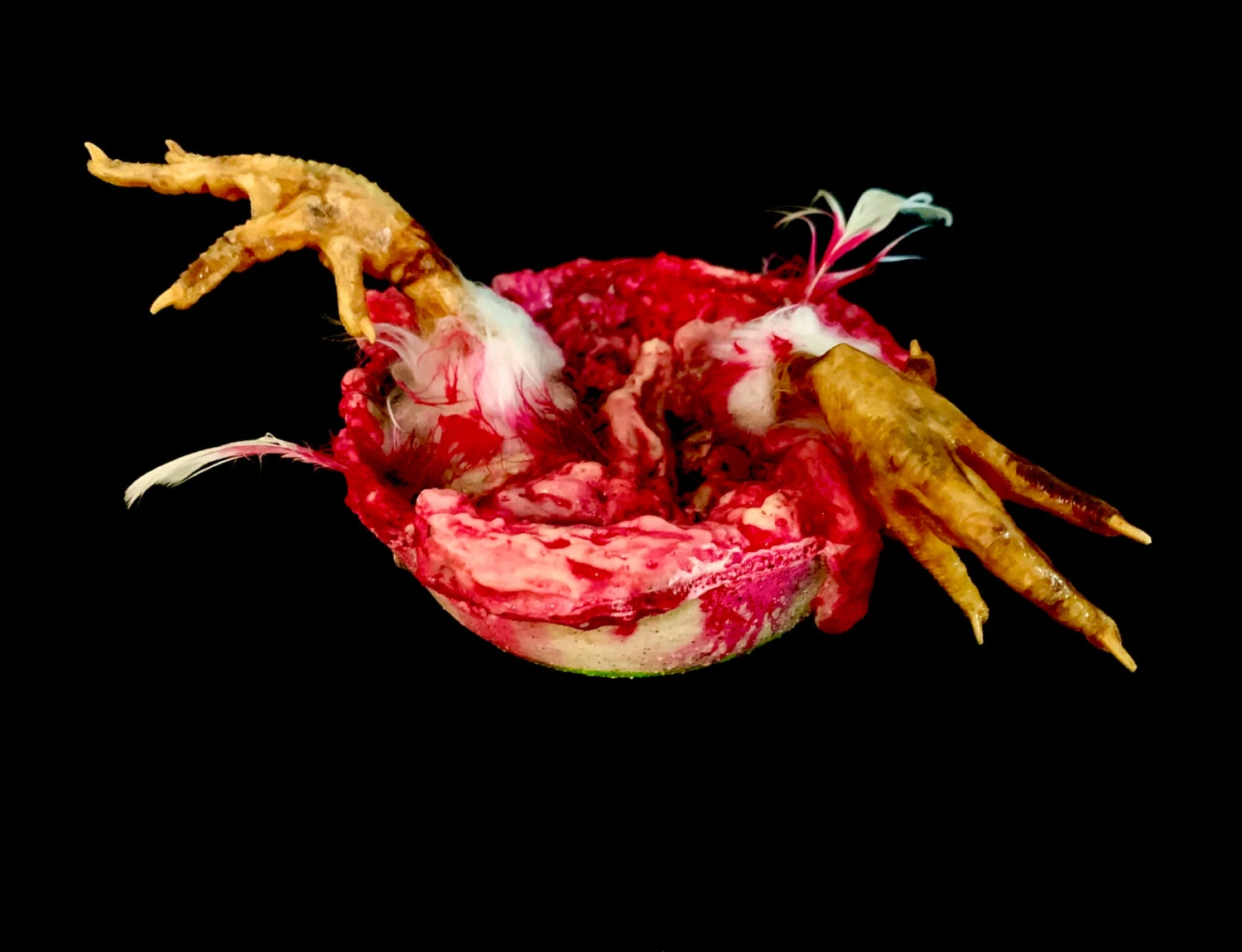 Bowl Of Chicken Goo 2 Bowl Of Chicken Goo - Image 2