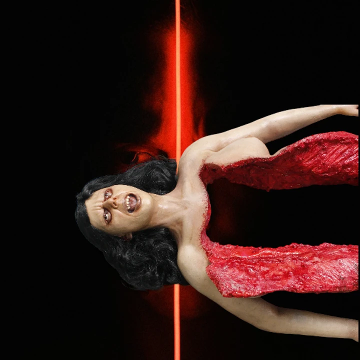 Dura Autopsy Brittany With Pass-Through 2 Dura Autopsy Brittany With Pass-Through - Image 2