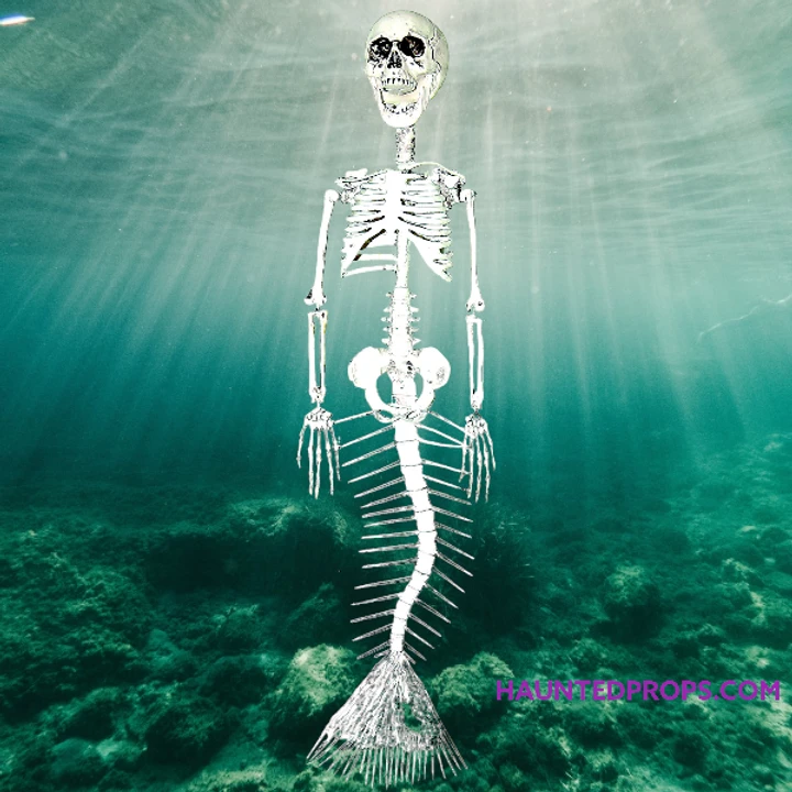 30" Mermaid Skeleton Decoration 1 30" Mermaid Skeleton Decoration