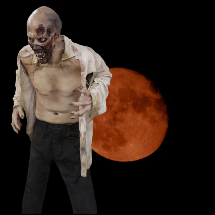 Zombie Zack Full Size Prop 6 Zombie Zack Full Size Prop - Image 6