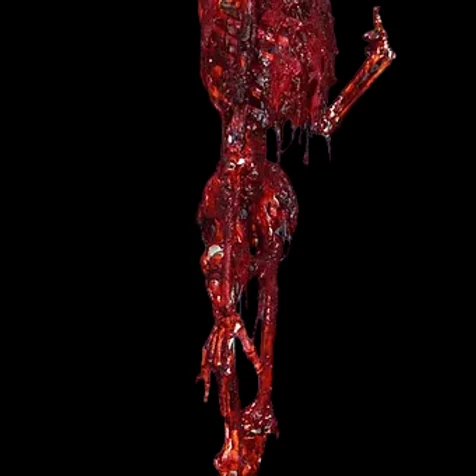 Meat Mummy With Phoebe Head 2 Meat Mummy With Phoebe Head - Image 2