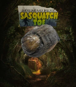 Lucky Sasquatch Toe