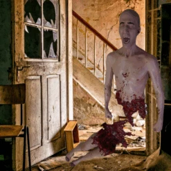 Split In Half Martin 2 Pc