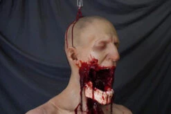 Hanging Jawless Martin