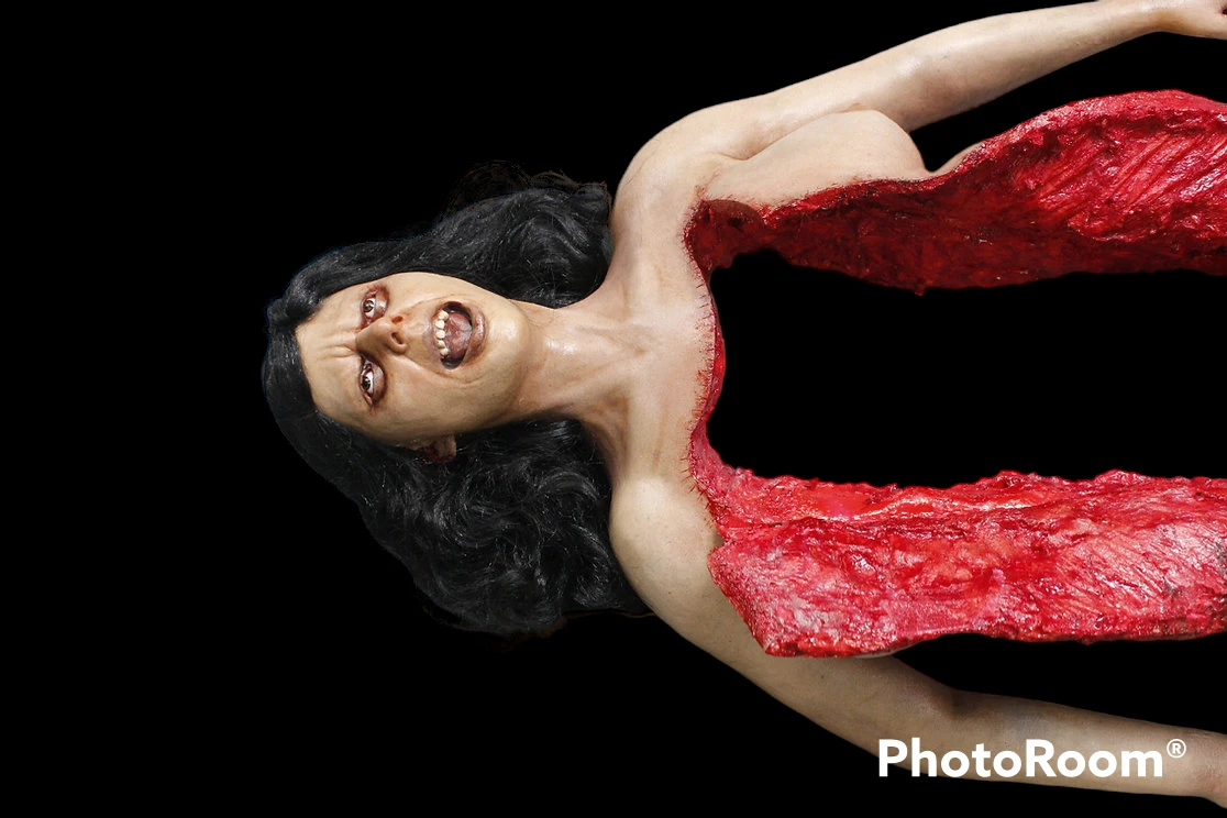 Dura Autopsy Brittany With Pass-Through 6 Dura Autopsy Brittany With Pass-Through - Image 6