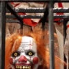 Cagey Clown With Clown In Cage