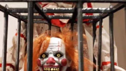 Cagey Clown With Clown In Cage