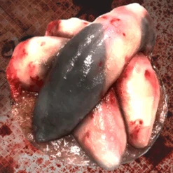 Animal Prop Beef Tongues