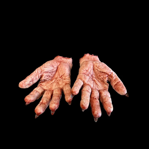 Pair Of Severed Witch Hand 2 Pair Of Severed Witch Hand - Image 2