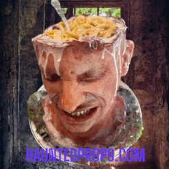 Head Dish 1 -Halloween Props Store 82c588 eaa27e83db8e44d1bd07462f40c6ef1bmv2