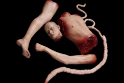 Male Mutilation Combo