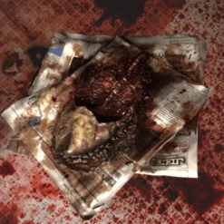 Animal Prop Fish On Paper