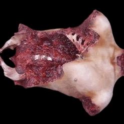 An Extremely Gory Piece, This Deluxe Gore Chest Has Been Ripped Open To Reveal Spine, Ribs And Hip Bones.