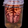 Brain Apothecary Specimen Jar