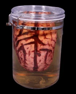Brain Apothecary Specimen Jar